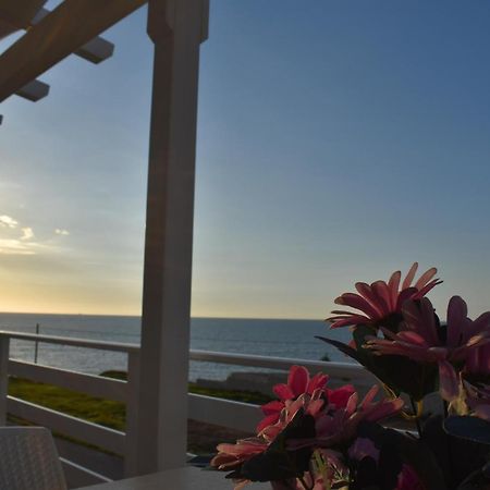 Vista Mare Tra I Luoghi Di Montalbano Villa Punta Secca Eksteriør billede